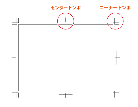 トンボの説明