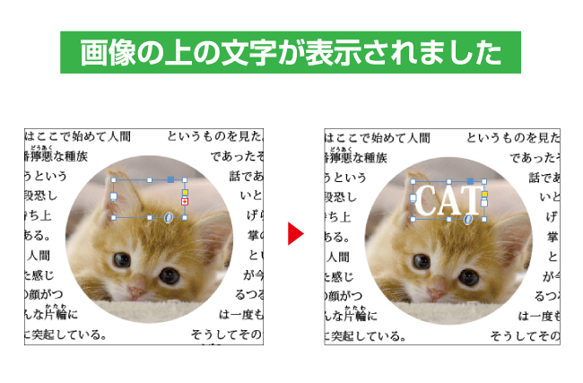 画像の上の文字が表示された